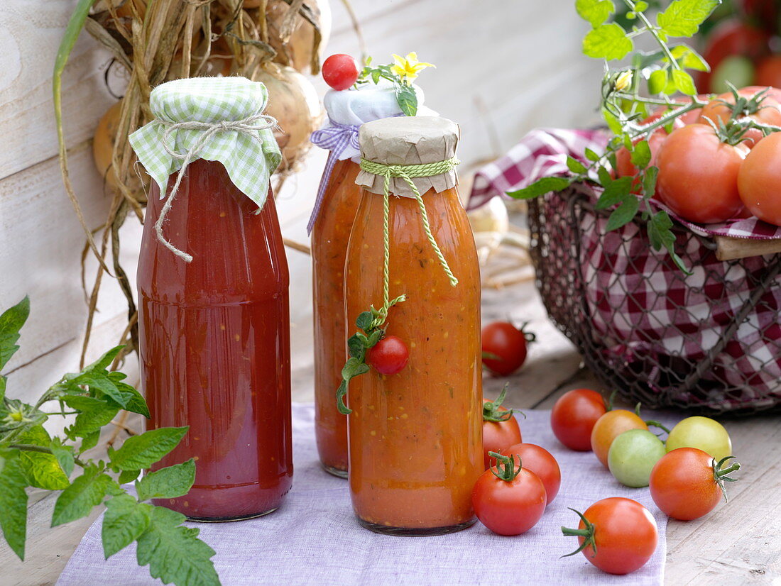 Flaschen mit selbstgemachtem Tomaten-Sugo