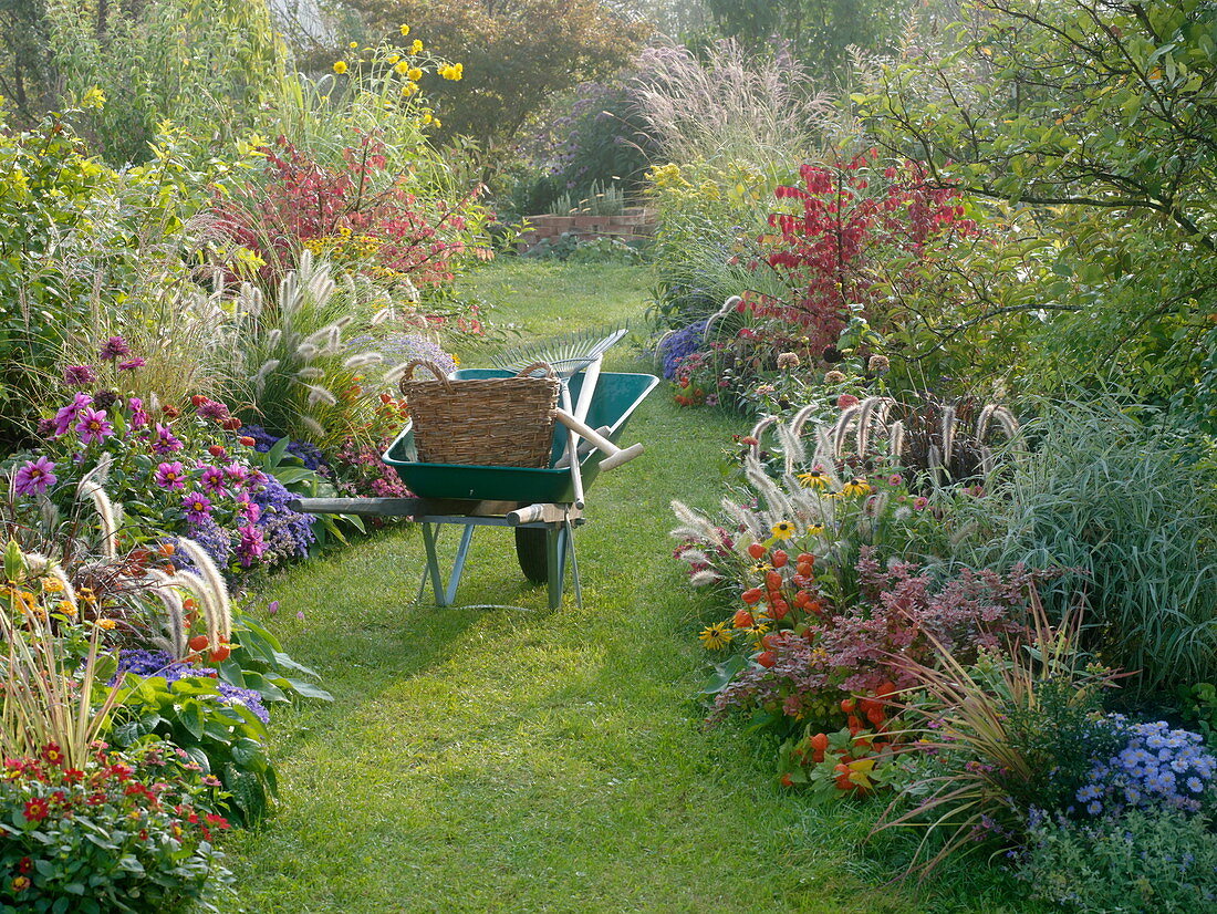 Herbstbeete mit Gräsern, Stauden, Sommerblumen und Gehölzen