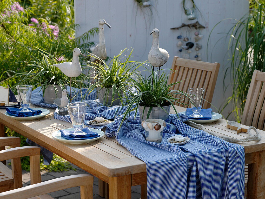 Maritime table decoration with Carex morrowii