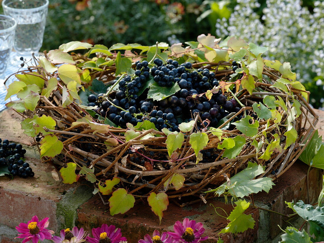 Grapes in grapevines wreath