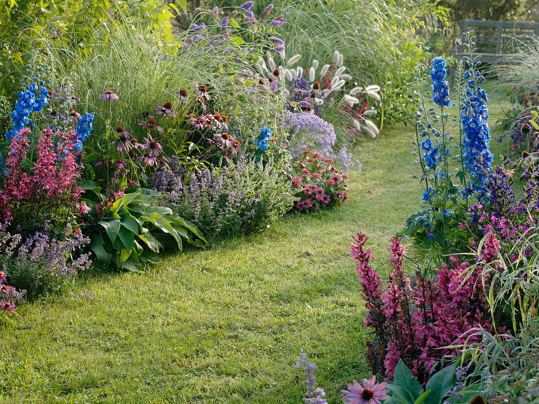 Lawn path between beds with perennials, summer flowers and grasses