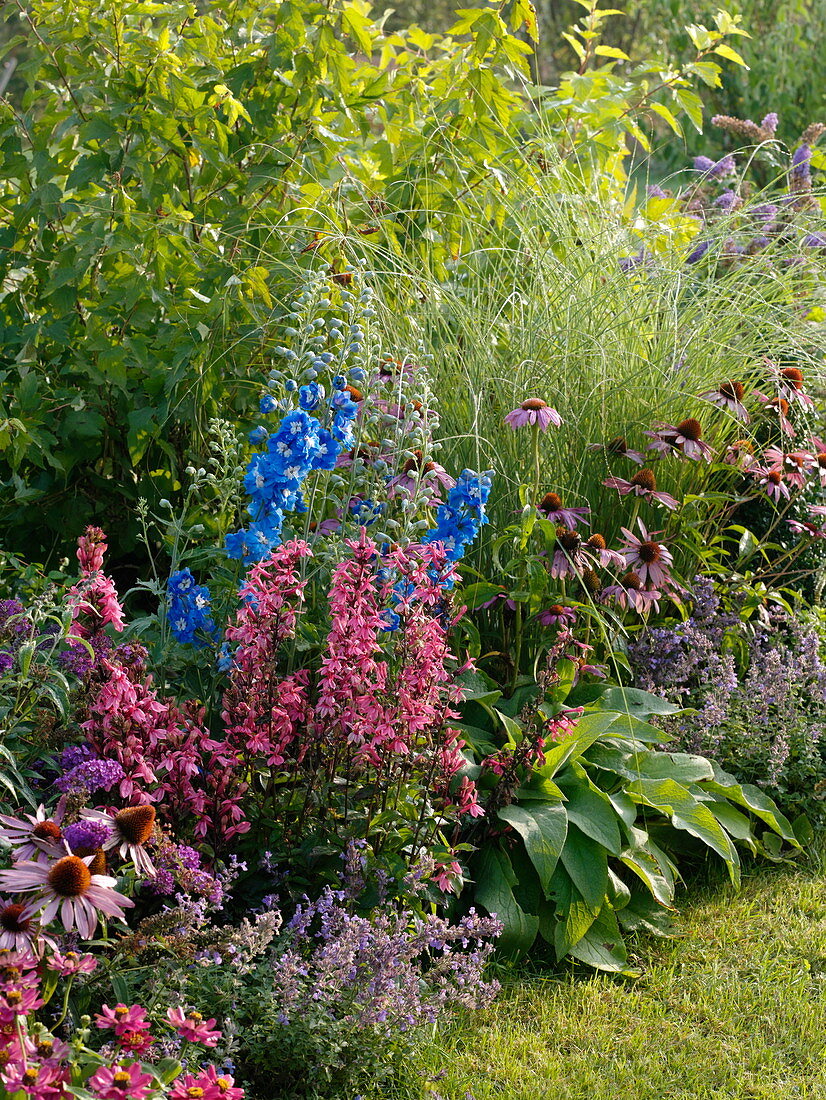 Rasenweg zwischen Beeten mit Stauden, Sommerblumen und Gräsern