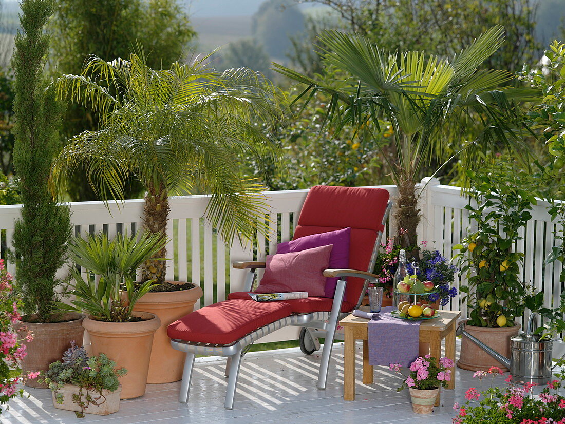 Mediterraner Balkon mit Liegestuhl und Palmen