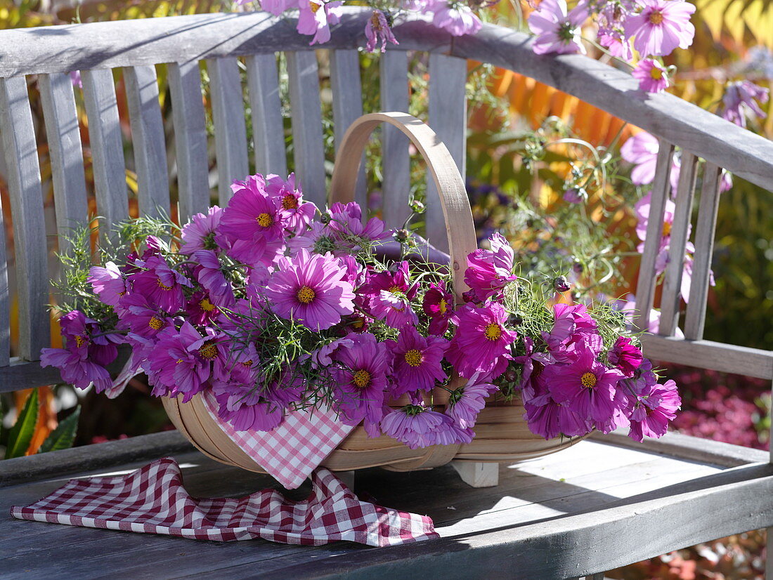 Spacer basket with cut ornamental baskets on the bench