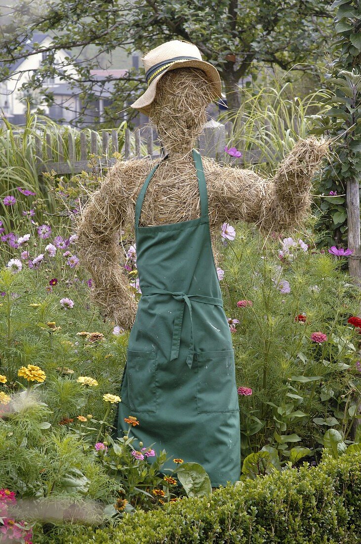 Vogelscheuche aus Stroh mit Gärtnerschürze im Bauerngarten