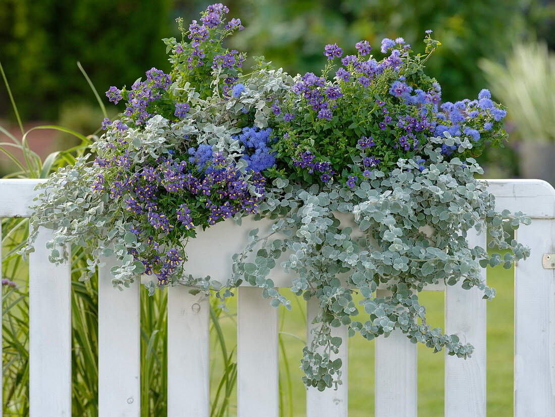 White wooden box in blue-gray