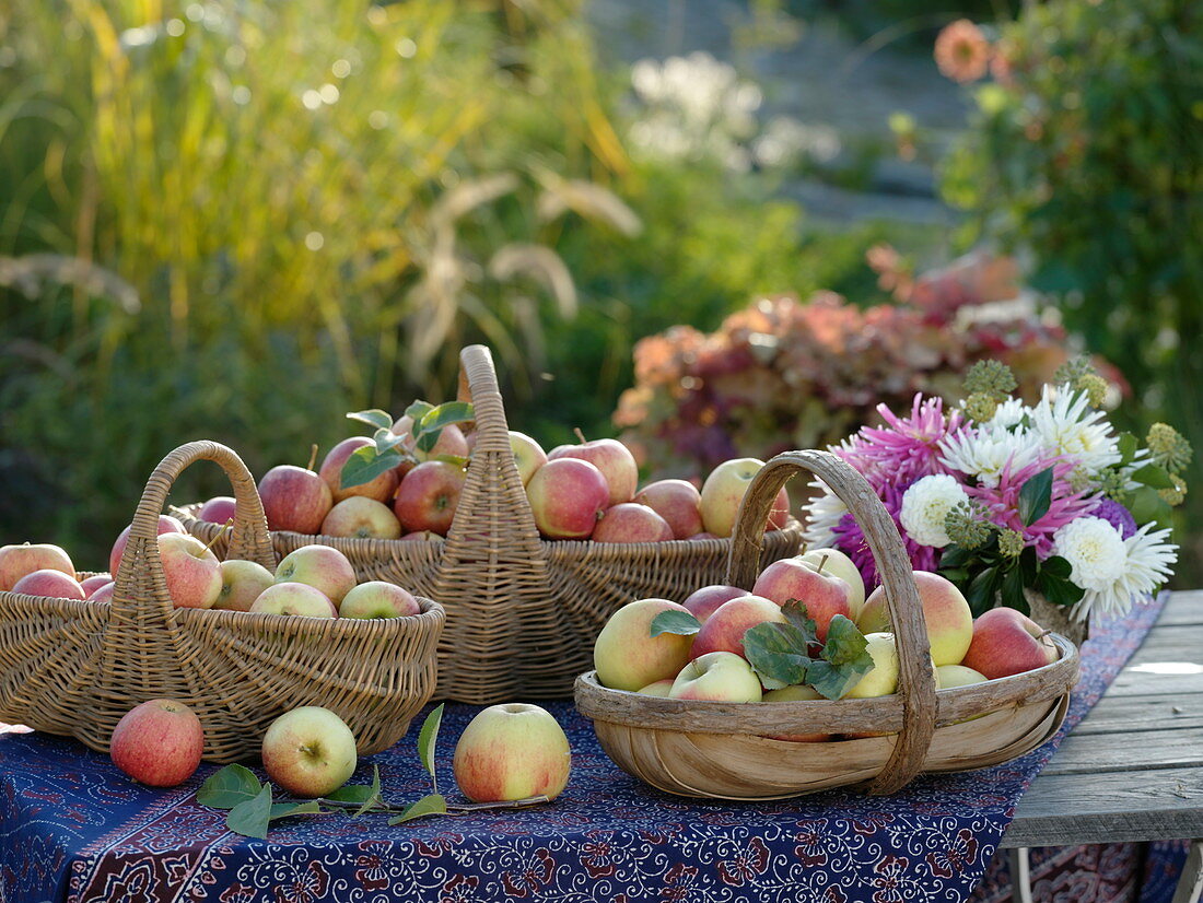 Körbe mit Äpfel auf Tisch