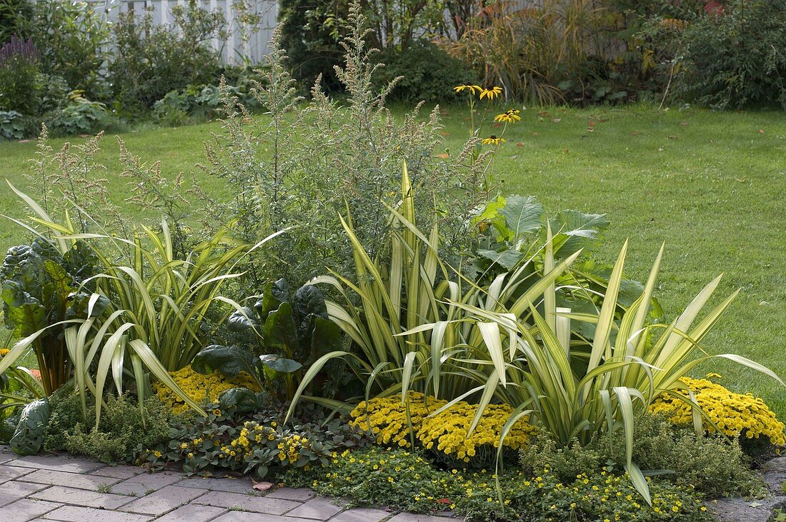 Yellow-green late summer bed