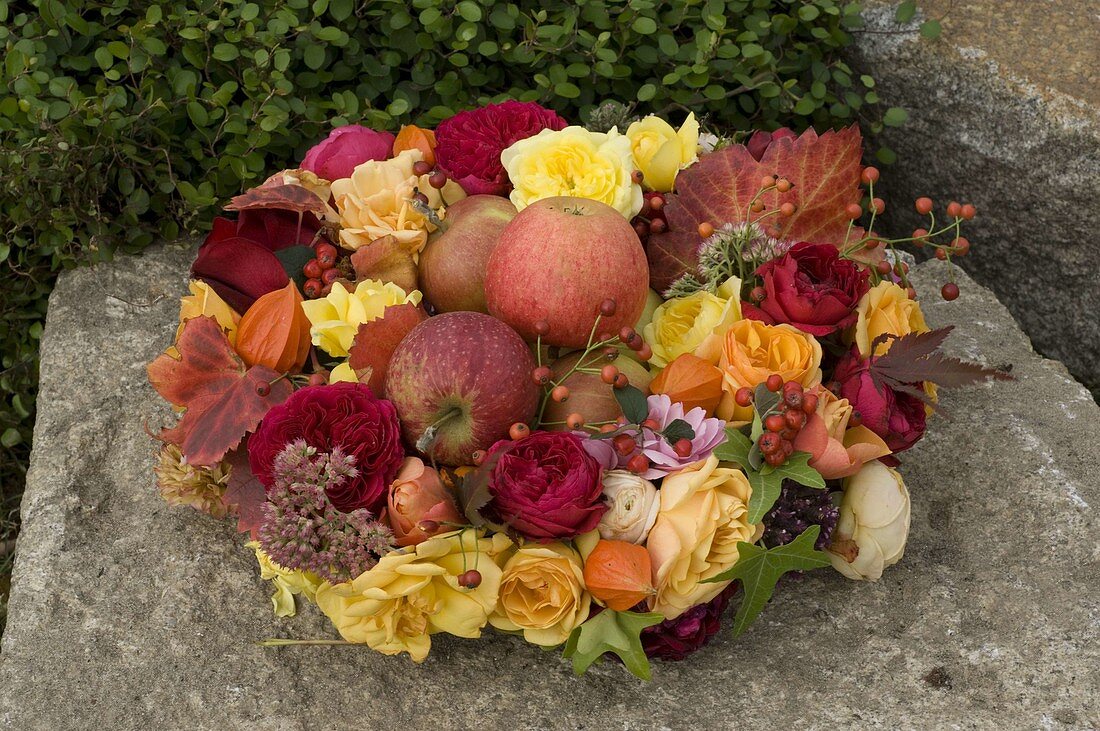 Autumnal wreath of roses filled with apples