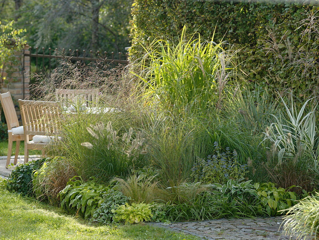 Grass bed by the hornbeam hedge