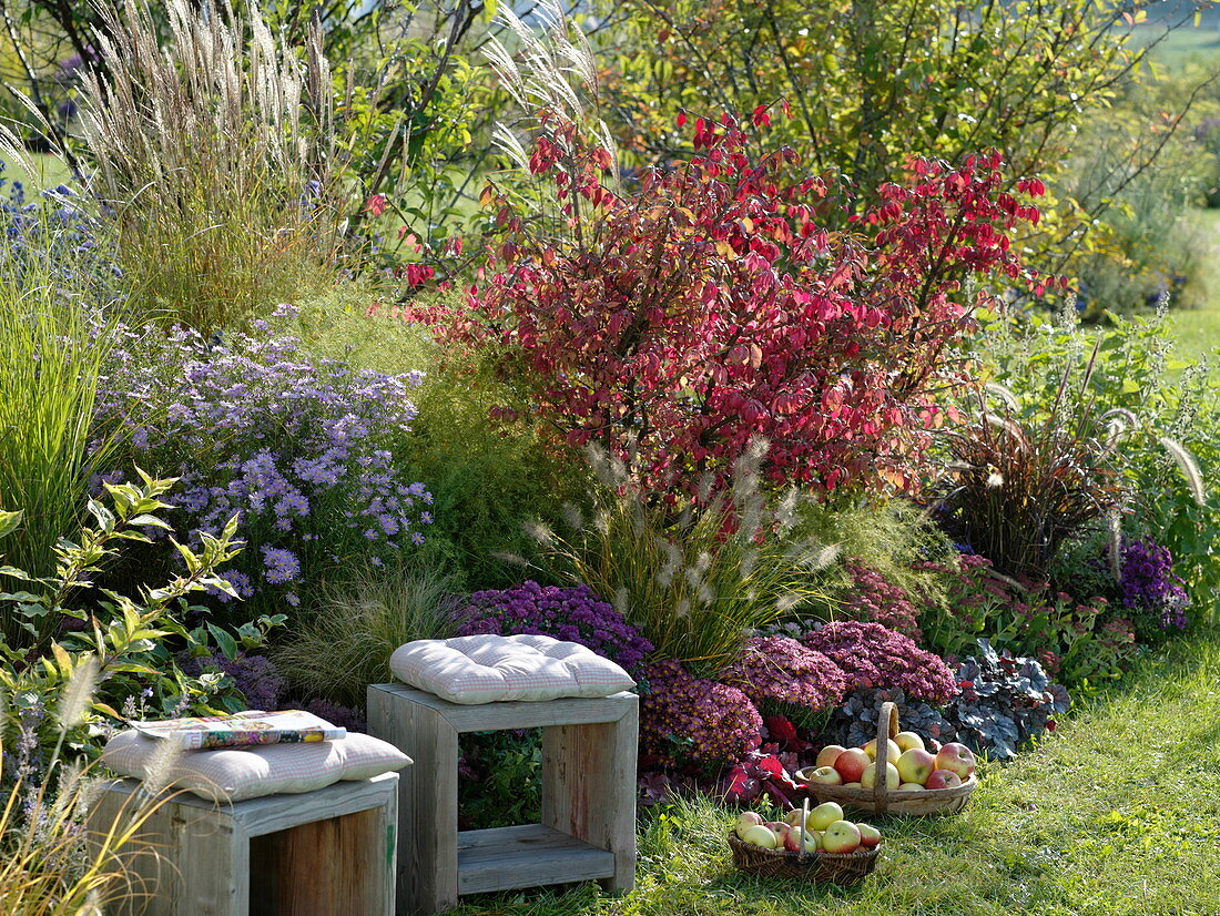 Autumnal bed with Euonymus alatus and wooden stool