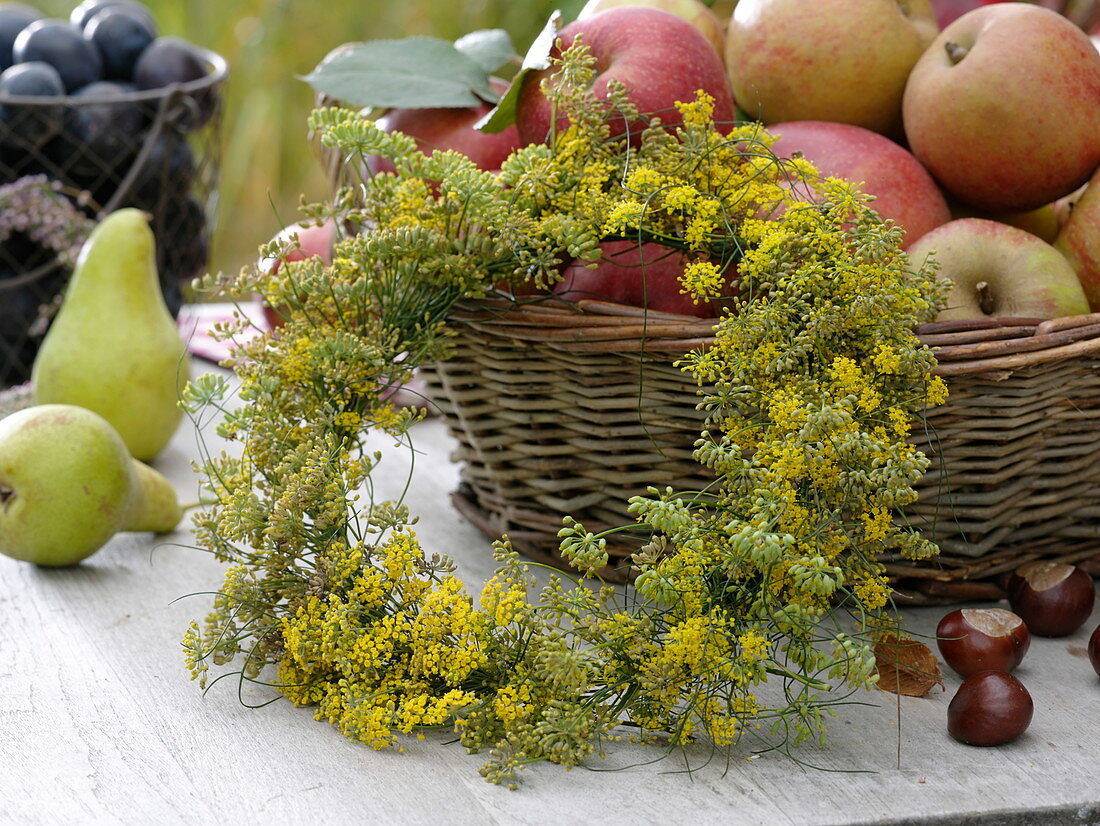 Fennel flowers wreath leaning on apple basket