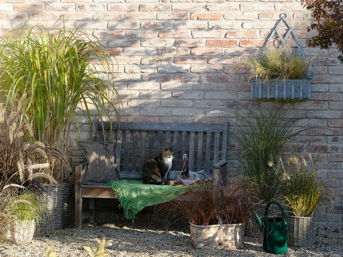 Terrasse mit Gräsern in Körben