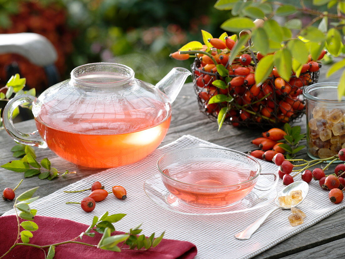 Rosehip tea in glass jug