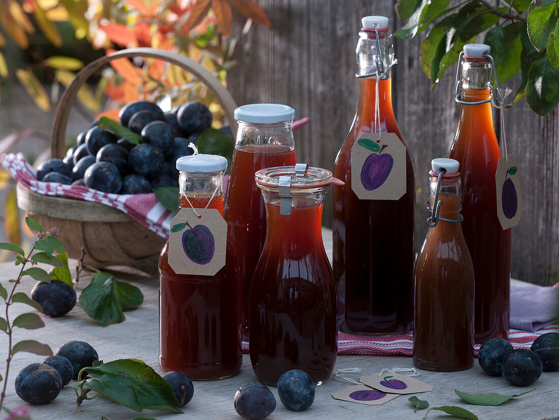 Processing plums