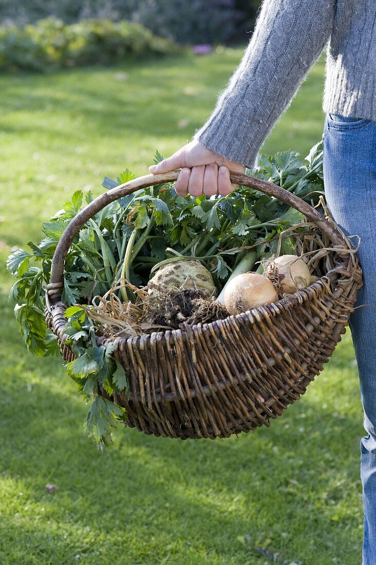 Young woman carrying wicker basket with vegetables