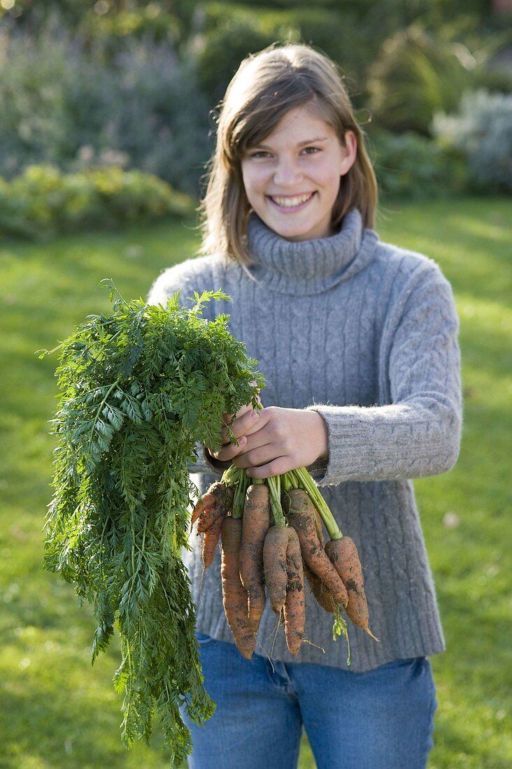 Young woman holding a bunch of carrots (Daucus)