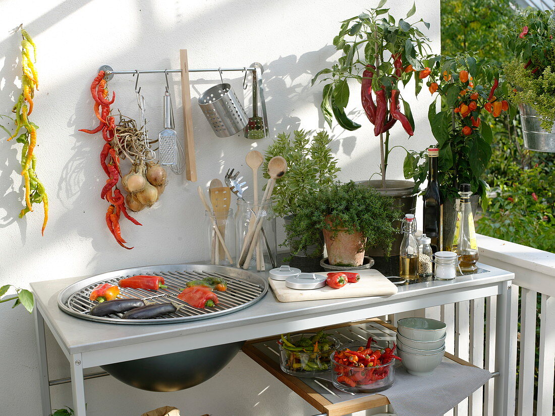 Outdoor kitchen on the balcony