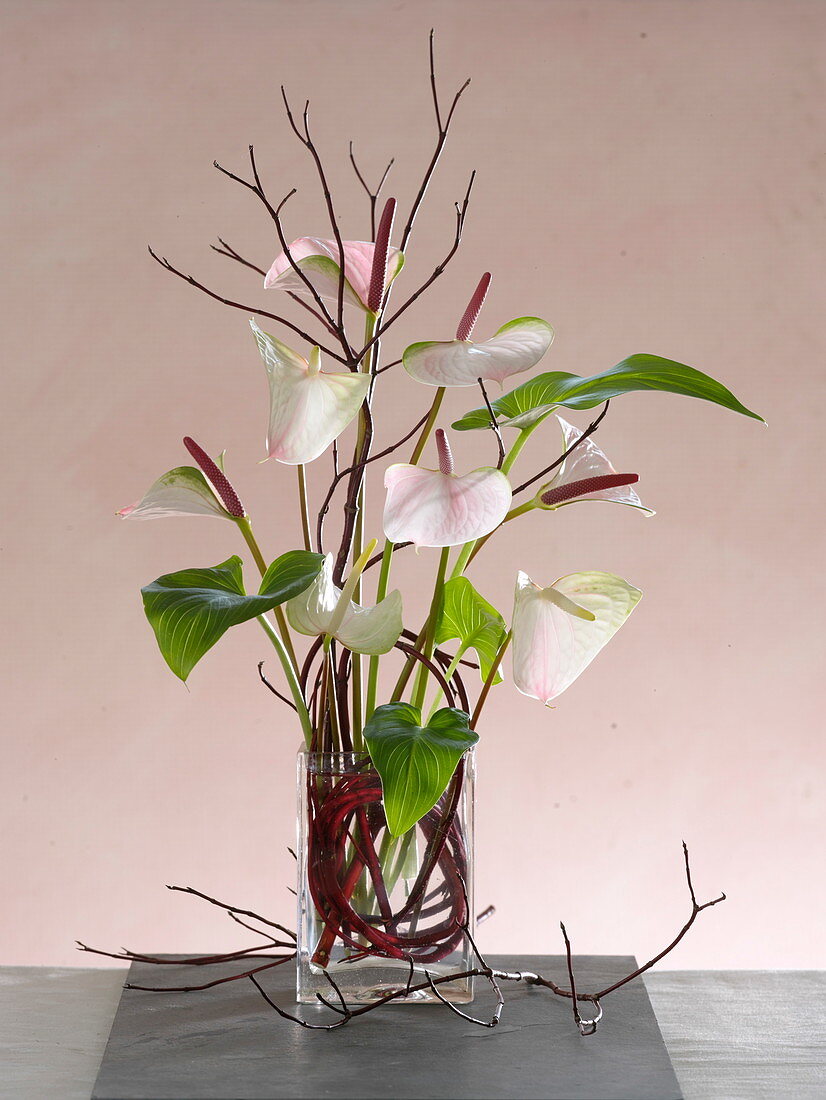 Modern bouquet of anthurium (flamingo flower) and cornus (dogwood)