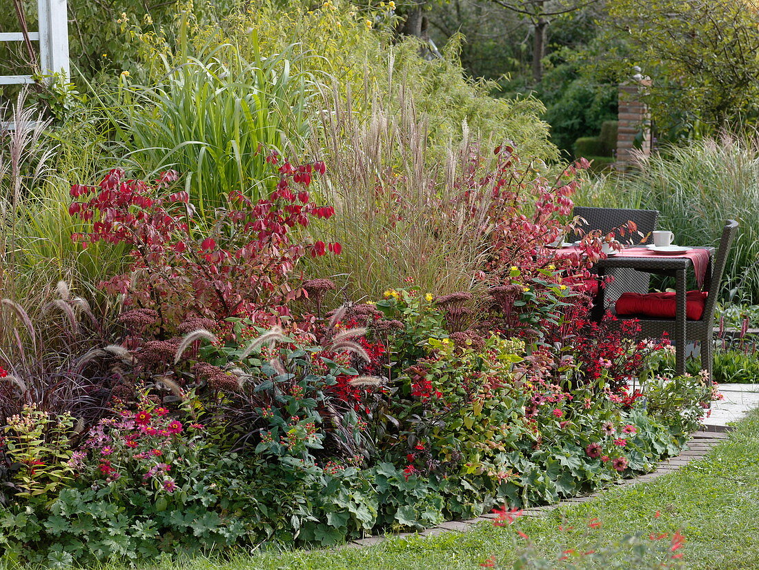 Red autumn bed with perennials, grasses and summer flowers