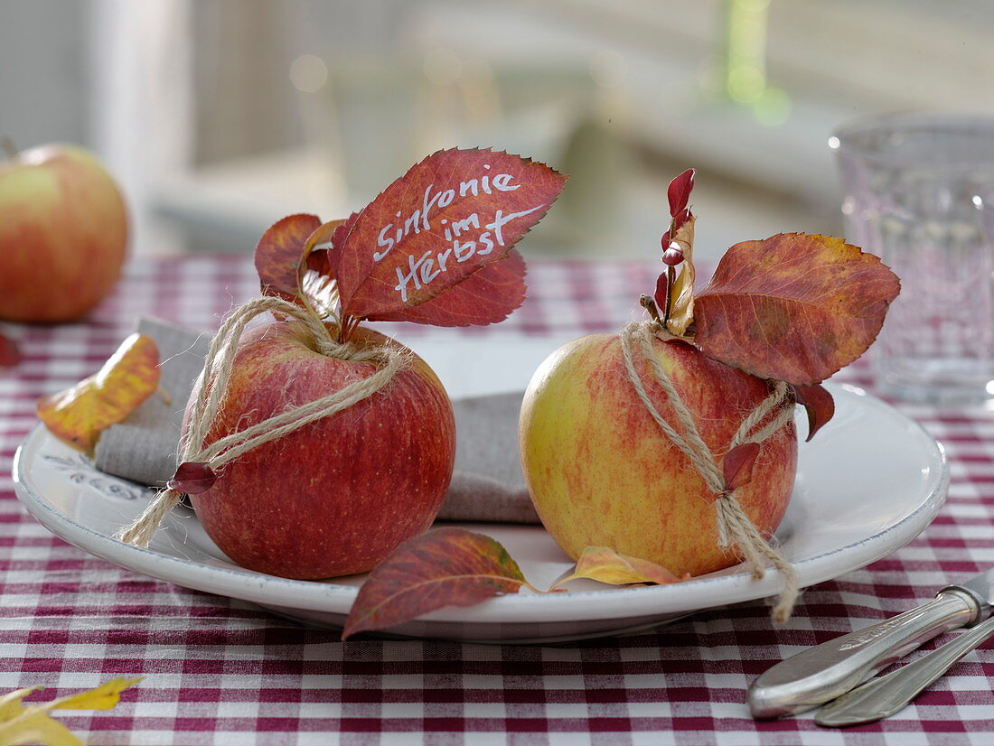 Autumn decoration on white plate