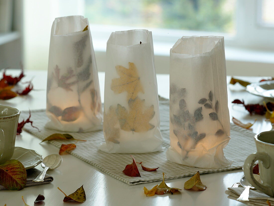 Glasses placed in sandwich bags as lanterns