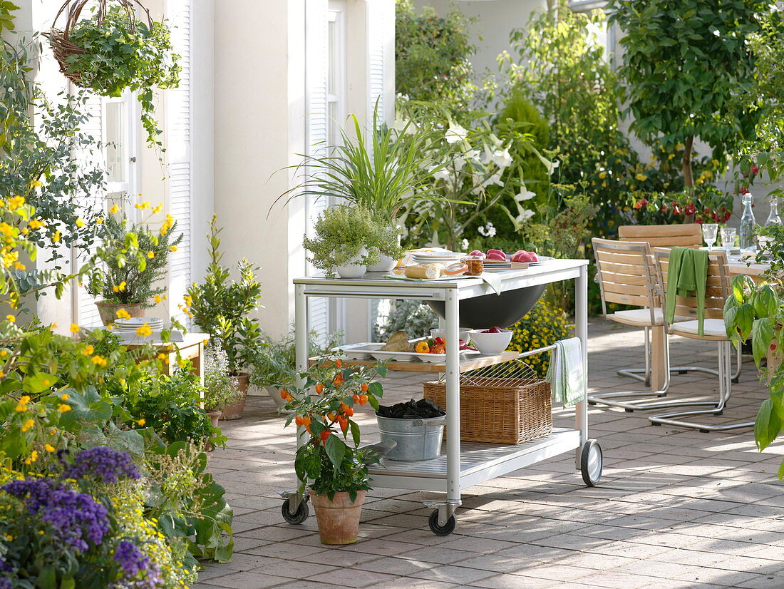 Outdoor kitchen: grilling on the terrace