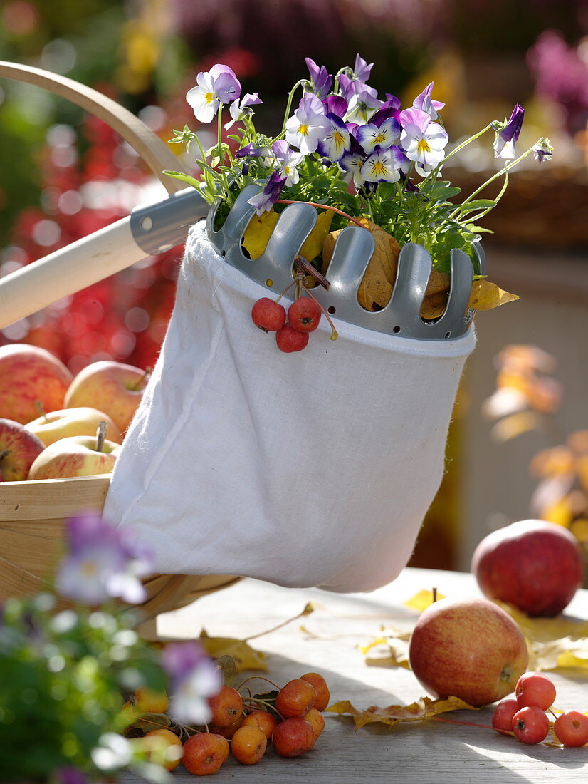 Geschenk für Gartenfreunde: Obstpflücker mit Viola cornuta