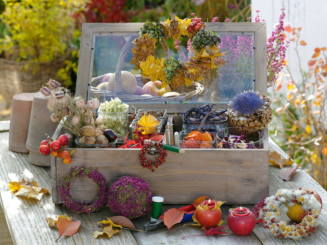 Wooden box with glass lid filled with nuts, blossoms, leaves for handicrafts