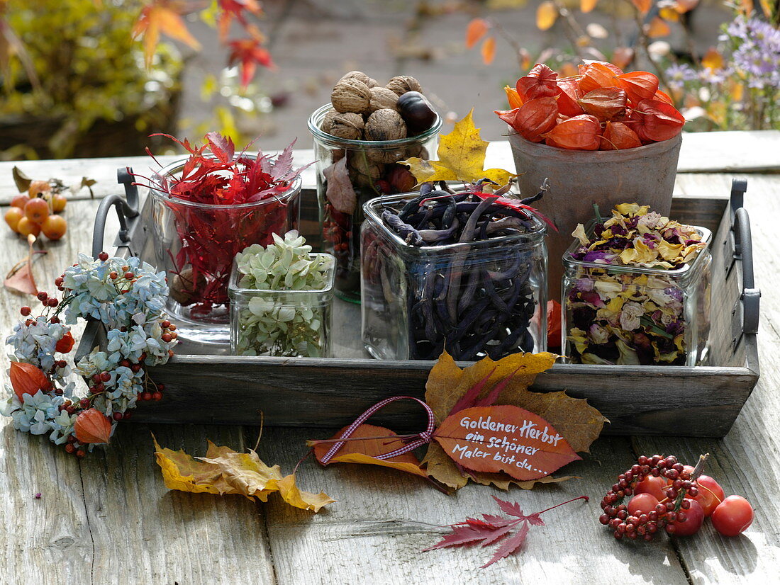 Tray with jars of flowers, leaves, nuts, lantern fruit and beans
