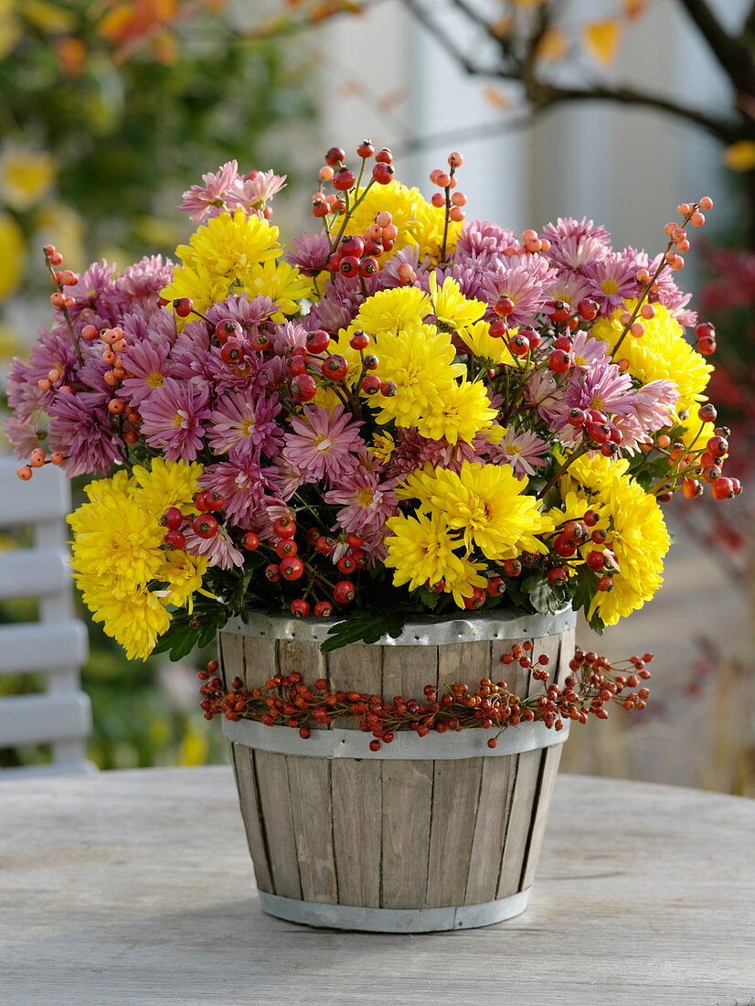 Herbststrauß aus Chrysanthemum (Herbstchrysanthemen) und Hagebutten