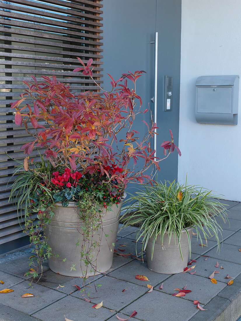 House entrance with modern grey front door