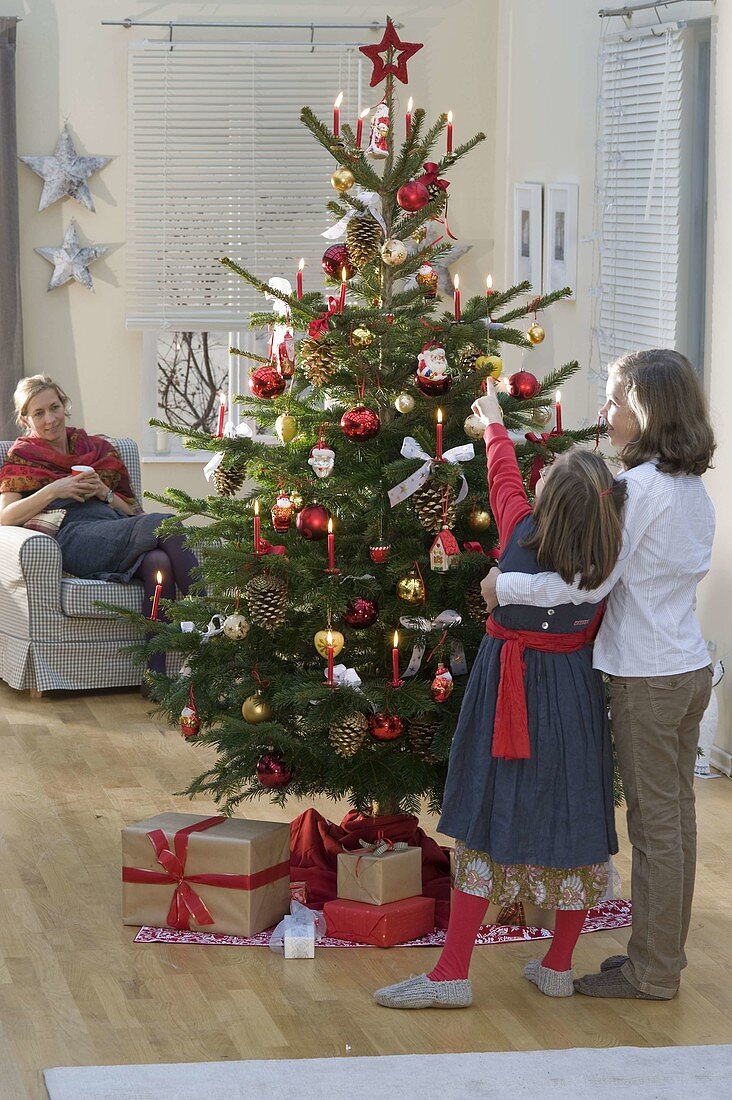 Red, white and gold decorated Nordmann fir