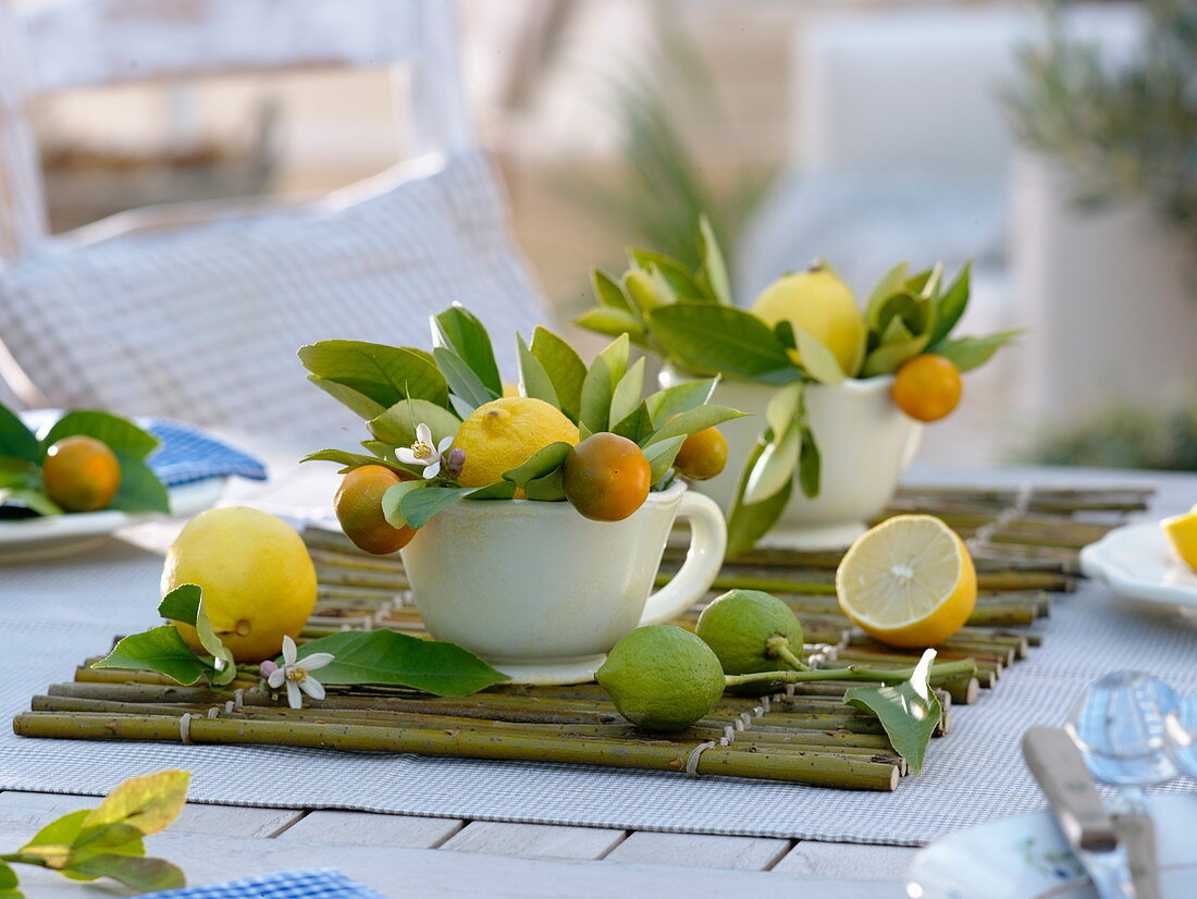 Tassen mit Citrus limon (Zitronen), Citrofortunella microcarpa (Bitterorange)