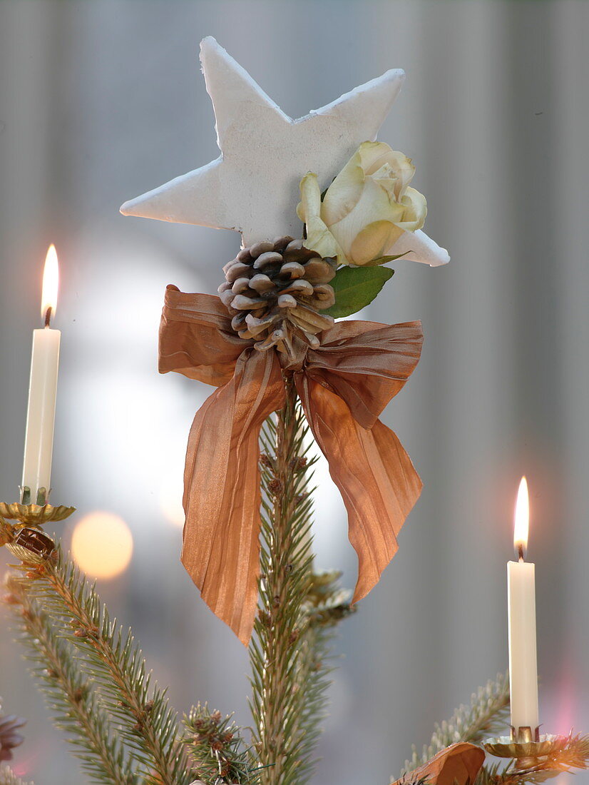 Decorated with rose petals and blue spruce cones as a Christmas tree