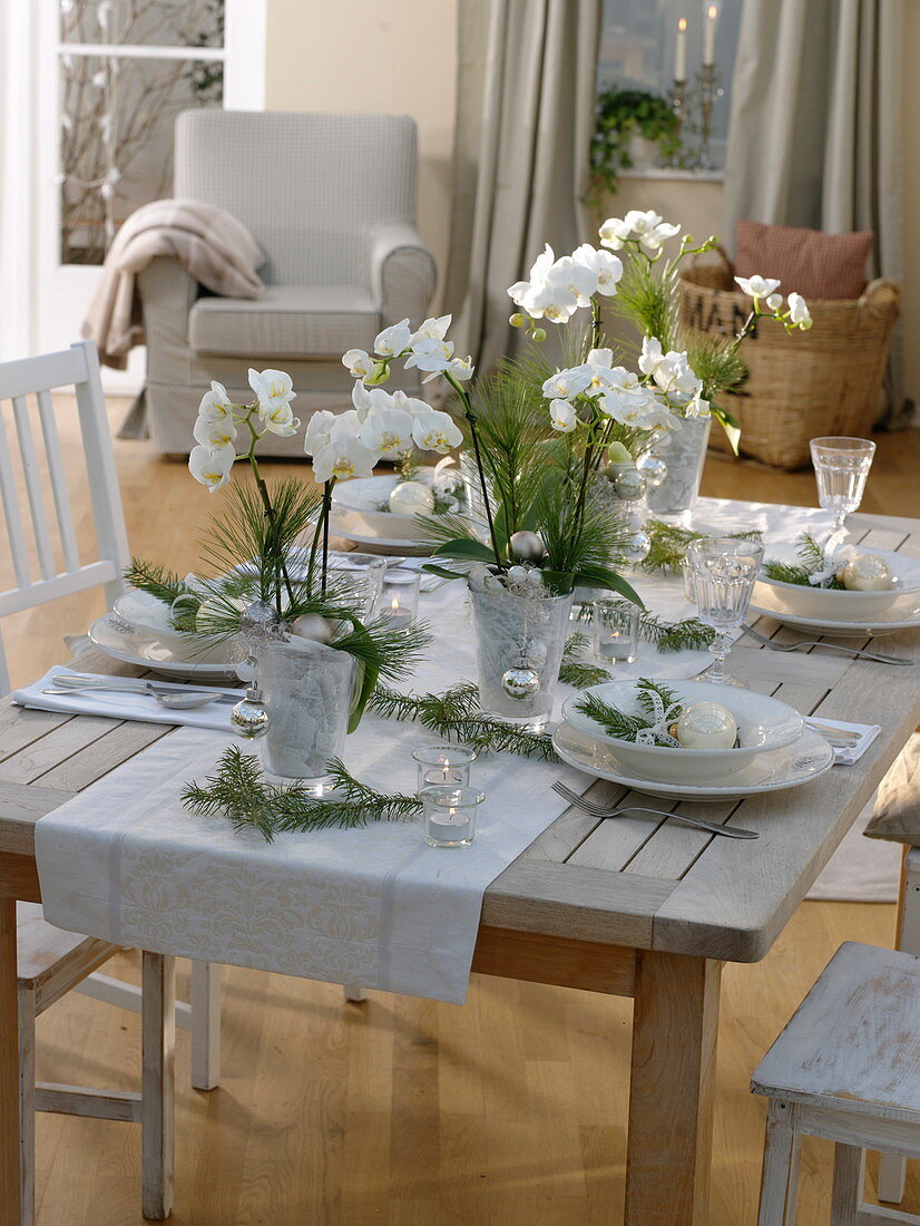 Christmas orchid table decoration in white