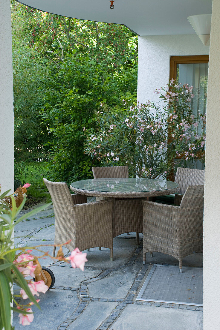Paved terrace with wicker furniture, Nerium oleander (oleander)