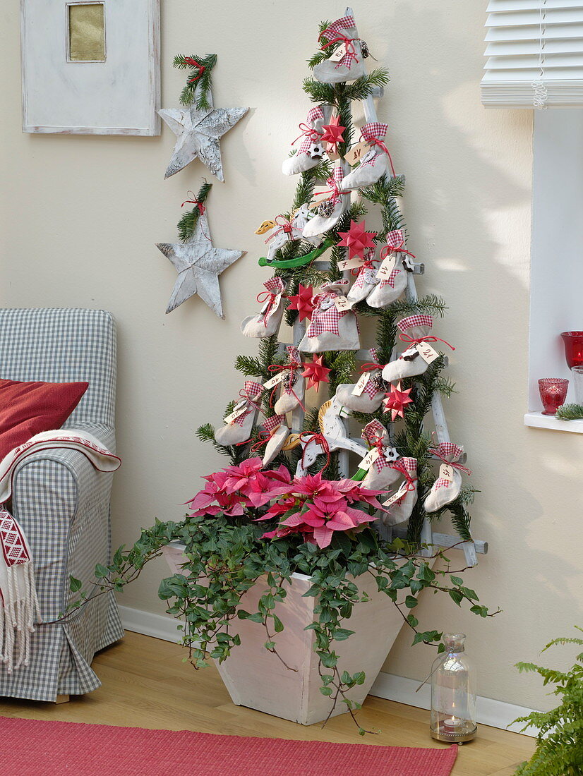 Planters with Hedera (Ivy), Euphorbia pulcherrima (Poinsettias)