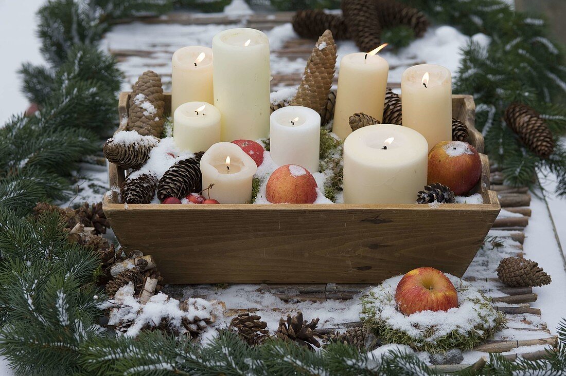 Holzkiste mit Kerzen, Zapfen, Äpfeln (Malus) und Moos im Schnee