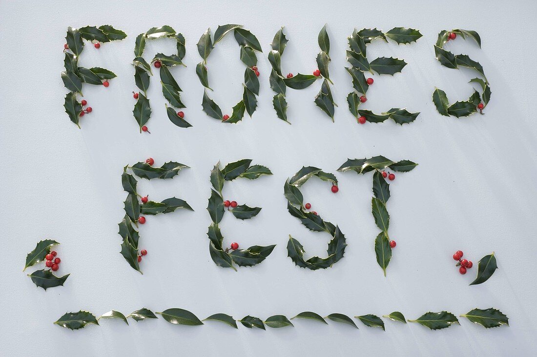 Aus Ilex (Stechpalme) Blättern und Beeren gelegt: frohes Fest!