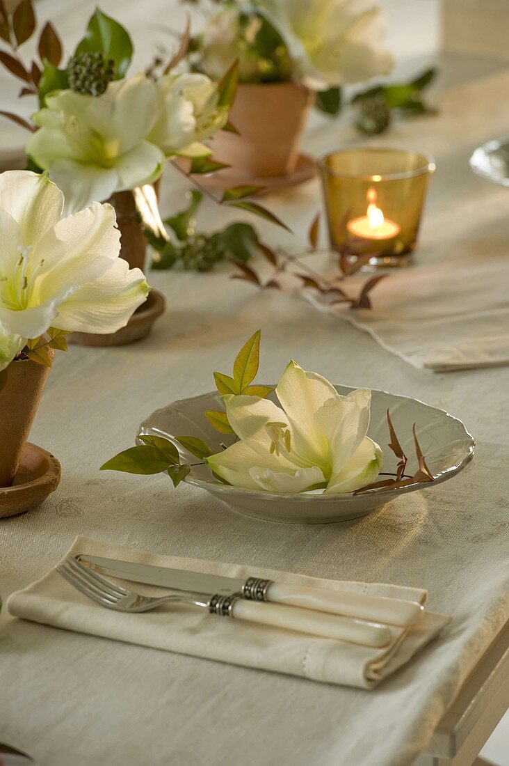 Autumnal Amaryllis table decoration