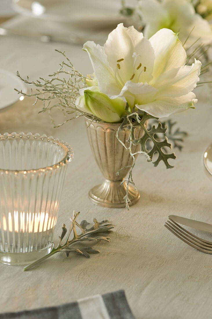 Festive amaryllis table decoration in white and silver