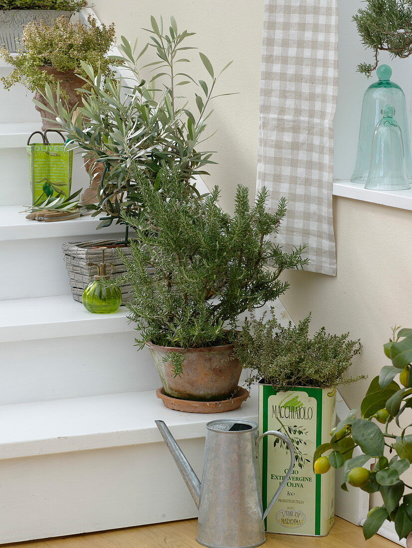 Hone herbs on stairs