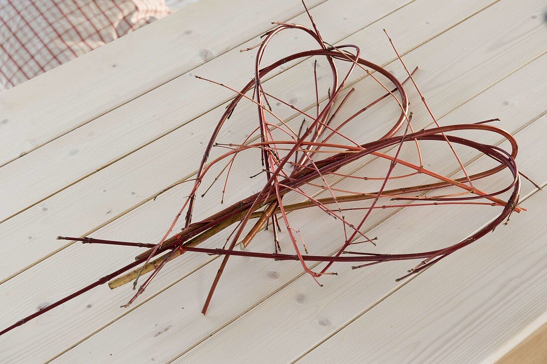 Heart of red dogwood branches