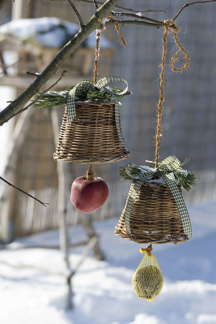Small baskets filled as feeding bells and hung on a tree