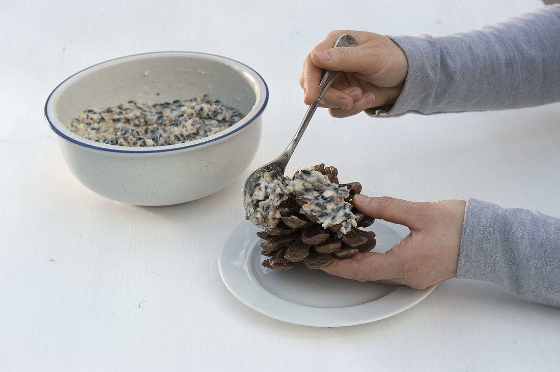 Pine cones filled with birdseed