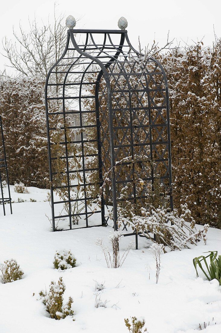 Snowy garden bed with metal arbour