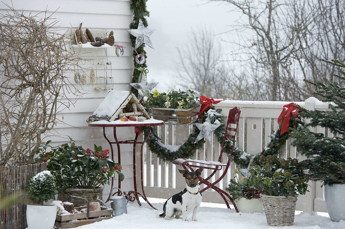 Winter balcony with conifers, bird feeder house, snow and garland