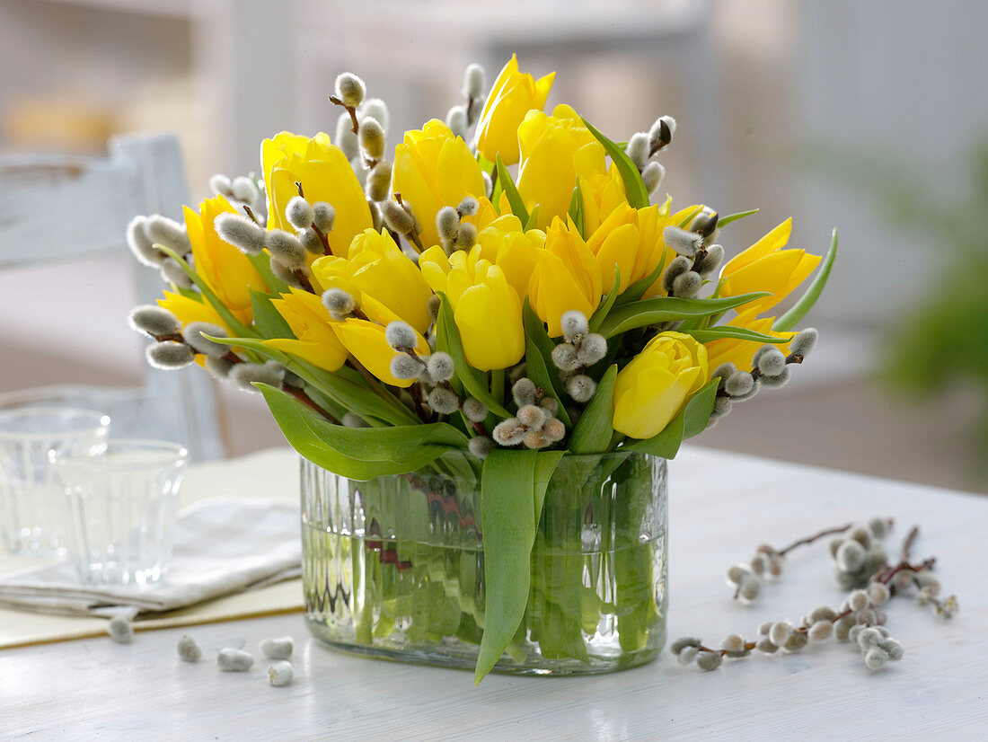 Glass Jardiniere with Tulipa and Salix caprea