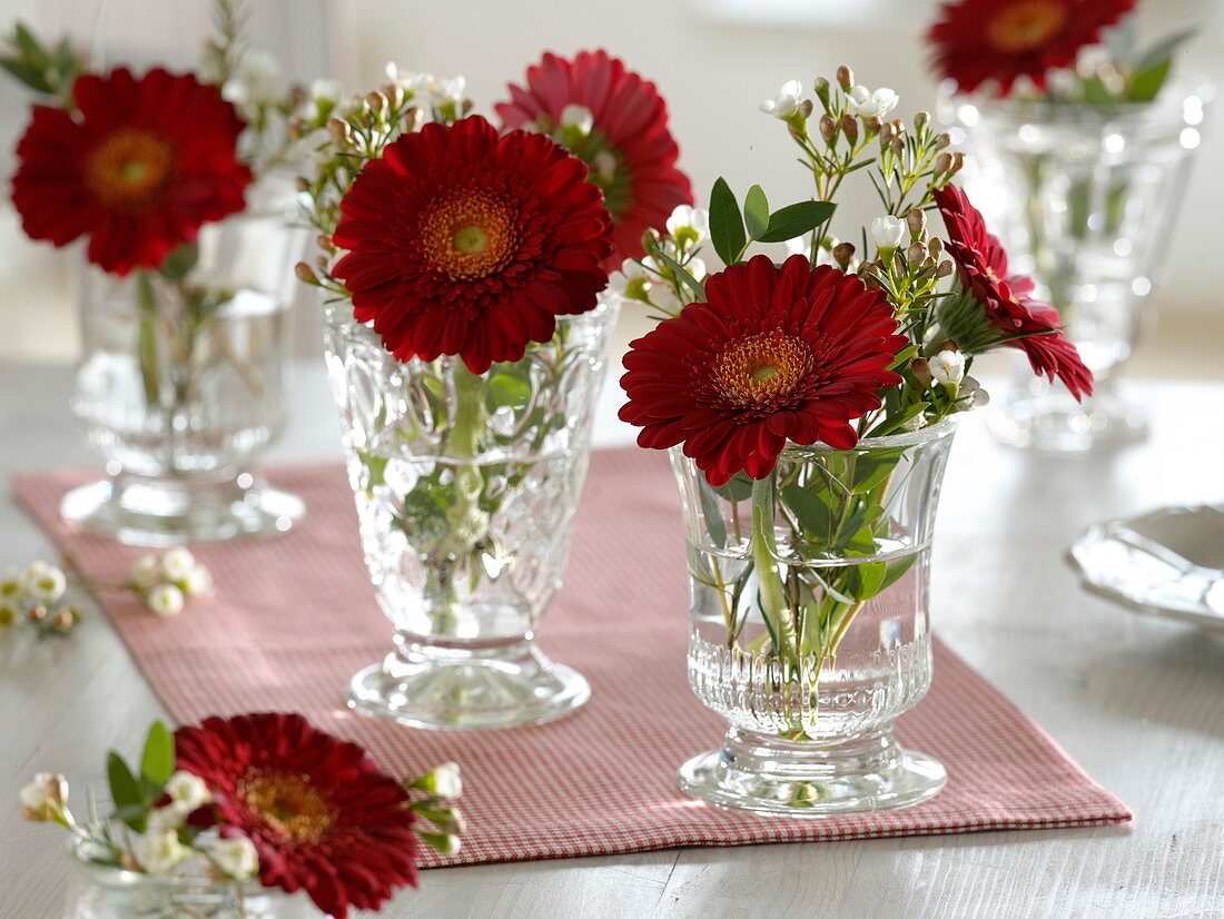 Gerbera (Gerbera flowers), Chamelaucium (Waxflower) and Eucalyptus